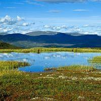 Naturstigen in Björkliden