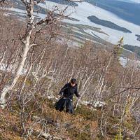 Prinskullen und Vallevare