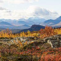 Wege auf den Kassavare